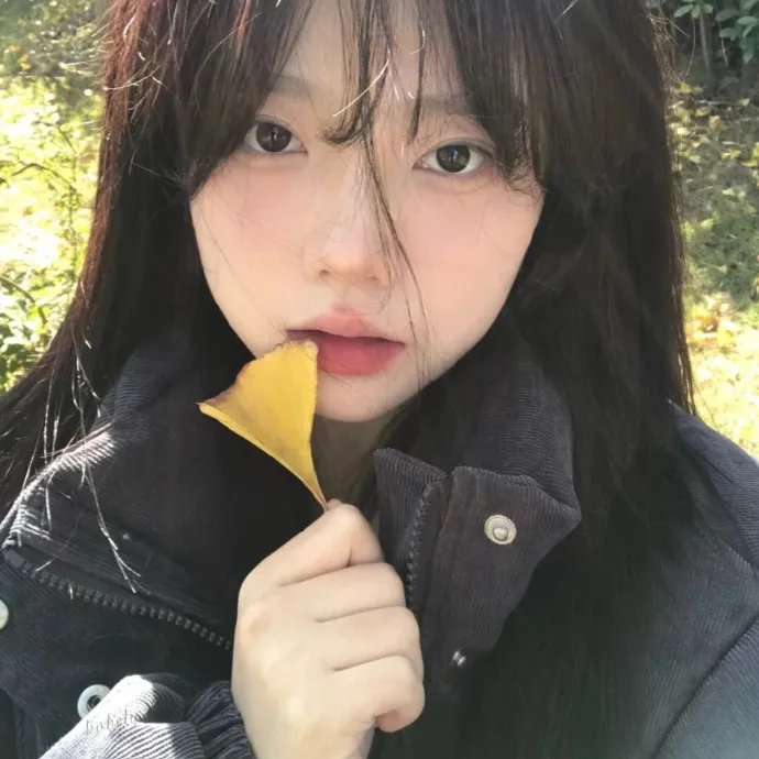 今天又在撩系统第二季